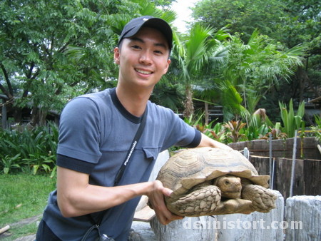 Tortoises in Avilon Zoo, Rizal Philippines